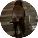 Ted Smithson profile picture