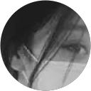 siting gao profile picture